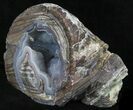 Crystal Filled Dugway Geode (Polished Half) #33170-1